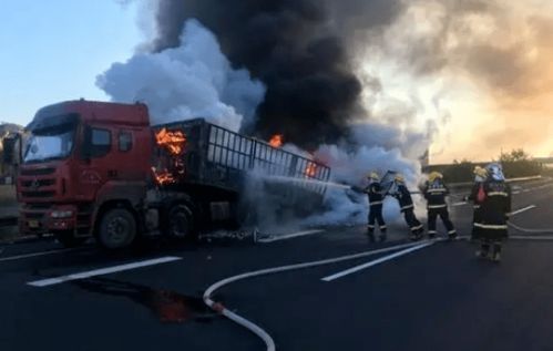 货物运输保险 国内水路 公路