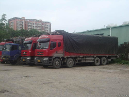 东莞运输公司有哪些 东莞市道路危险货物运输企业