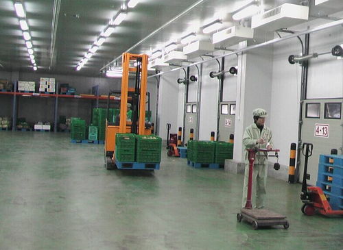 上海至衡阳冷藏物流专线 专业恒温保鲜,守护每一程新鲜