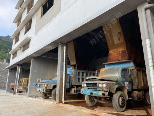 大冶有色环保与治理困境 废水直排长江与年报失真问题分析