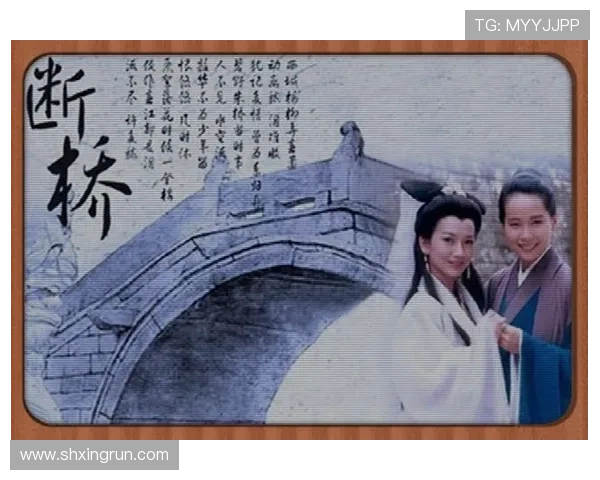 双城之恋交织命运羁绊的都市温情治愈系浪漫爱情传奇故事