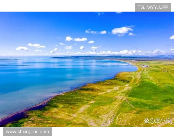 夏北阳光灿烂的日子:不止是风景,更是心之所向